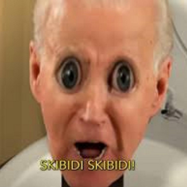 skibidi biden